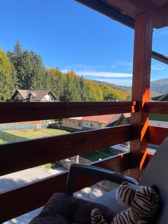 Apartament Lexannona Busteni Exterior photo