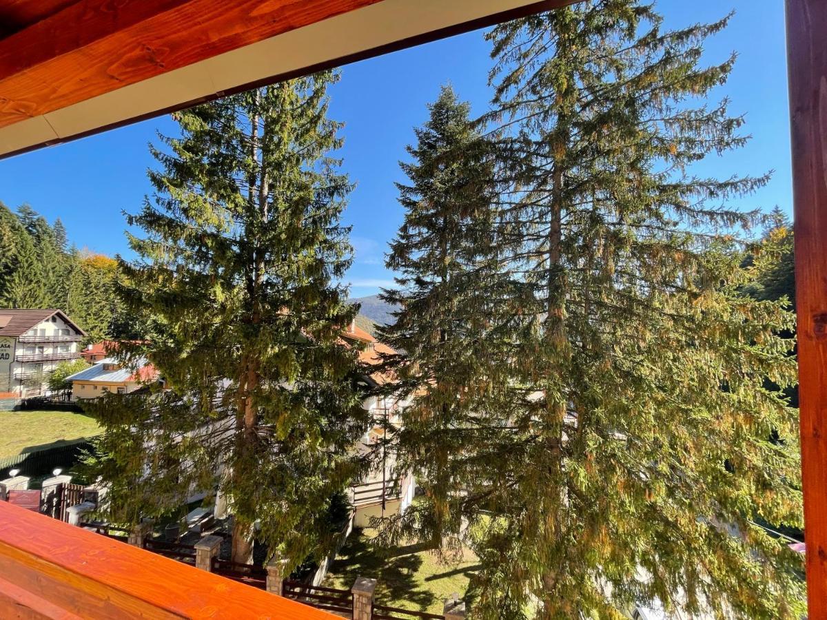 Apartament Lexannona Busteni Exterior photo